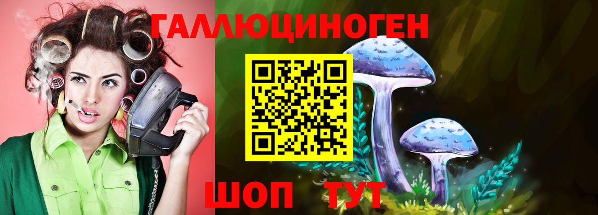 Майский  Галлюциногенные грибы прущие грибы  Вход с VPN 